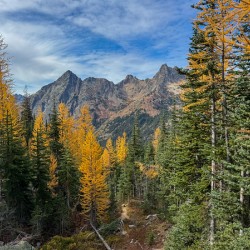 IMG 7481