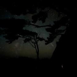 Camping Under Stars and Comet