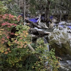 IMG 7061