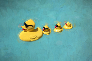 Family of Yellow Rubber Duckies X1 1