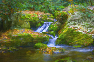 Water Falling Golden and Red Maple Leaves Smokies X2 25