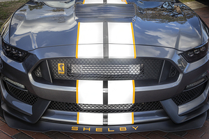 2016 Gray Ford Shelby Mustang GT350 X10 6