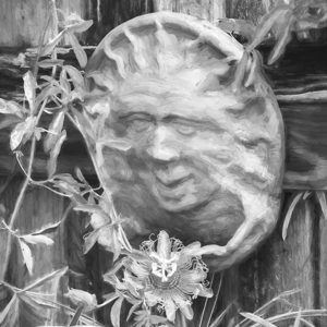 A Passion for Flowers Passion Flower X2 2