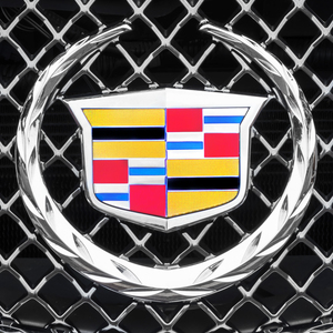 2014 Cadillac CTS-V Hood Ornament X103