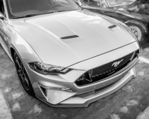 2021 Silver Ford Mustang GT 5.0 Premium X101