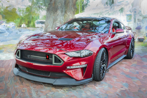 2019 Ruby Ford Coyote Mustang GT 50 X1 11