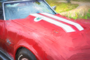 1974 Red Corvette C3 L48 X 5