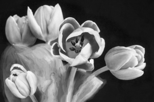 1N3A1526 Enhanced SR Topaz BW