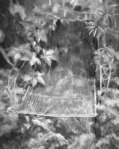 Red Chair and Ivy X100