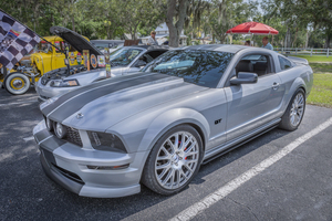2008 Silver Ford Mustang GT 5.0 Deluxe Coupe X 6
