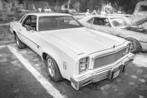 1976 White Chevrolet Chevelle Malibu Classic X 9