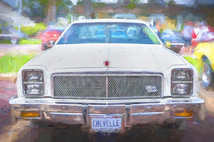 1976 White Chevrolet Chevelle Malibu Classic X 2