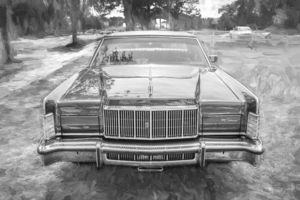 1976 Green Lincoln Continental Town Car X100  6
