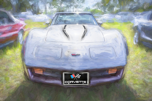 1982 Silver C3 Chevrolet Corvette X 9