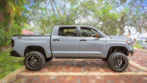 2019 Gray Toyota Tundra TRD Pro X 3
