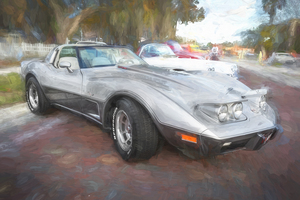 1978 Silver 25th Anniversary Corvette C3 X 13