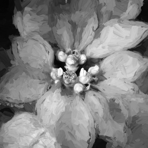 Red Christmas Poinsettia Leaves X 1