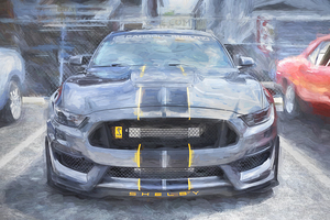 2016 Gray Ford Shelby Mustang GT350 X 7