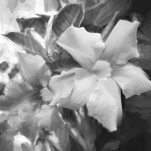 Red Mandevilla Flower Vine X2 4