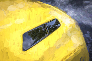 2017 Saleen S302 White Label Mustang X216