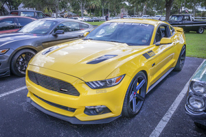 2017 Saleen S302 White Label Mustang X213