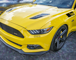 2017 Saleen S302 White Label Mustang X209