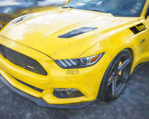 2017 Saleen S302 White Label Mustang X208