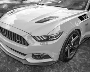 2017 Saleen S302 White Label Mustang X220