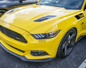 2017 Saleen S302 White Label Mustang X210
