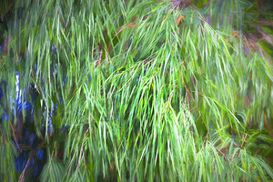 Green Papyrus Leaves X1 2