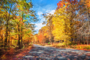 Fall Foliage Sussex County New Jersey X104