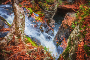 Waterfalls George W Childs National Park X100