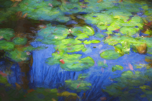 Blue Water Green Lily Pads X100