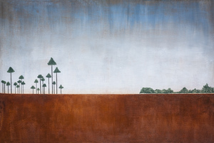 Savannah Landscape Everglades X100