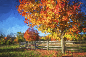 Fall Foliage Sussex County New Jersey X100