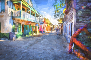 St George Street St Augustine Florida X101