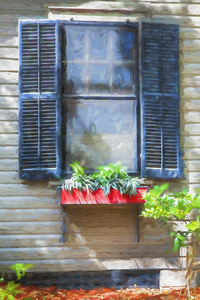 Red Flower Box St Augustine X102