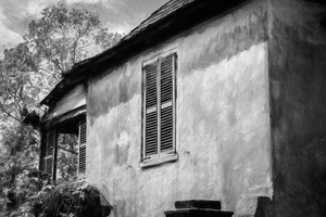 Green Shutters Stucco Walls X101