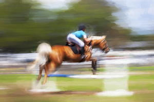 Horse Jumping at Rocking Horse StablesX100