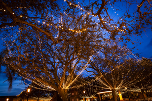 Christmas Lights St Augustine X100