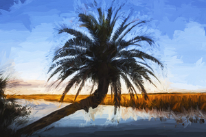 Leaning Palm Tree Loop Road X100