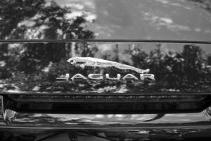  2014 Black Jaguar F Type V8 S Convertible X101