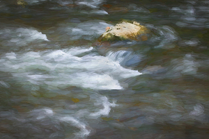 Golden and Red Maple Leaves Smokies X2 9