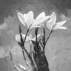 Plumeria Frangipani Hawaiian Flower X3 3