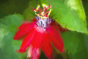 A Passion to Flower X100