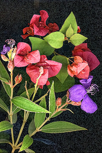 Out of the Garden 2 X100