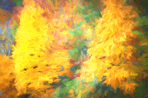 Golden and Red Maple Leaves Smokies X2 8