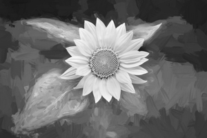 Happy Sunflowers Helianthus Abstract X3  3