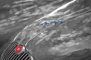 1961 Blue Jaguar XK 150 FHC X1 7