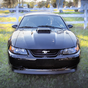 2004 Black Ford Mustang Mach 1 40th Anniversary X1 1